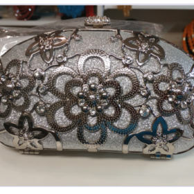 Elegant Silver Purse