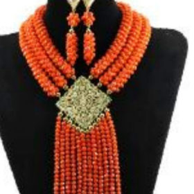 Luxury coral beads set